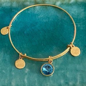 ALEX AND ANI CHARM BRACELET